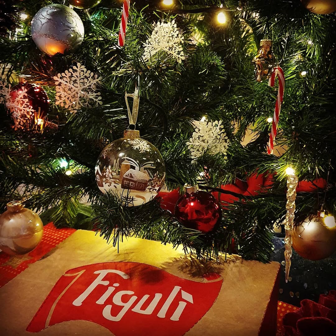 BOX REGALO FIGULI 🎄🎁🎅